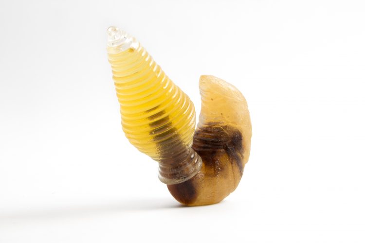 Apes - Emma Perrochon / Cristal coloré, verre soufflé et miel d'acacia - 17x17x7cm - 12 exemplaires - 300€